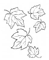 disegni/autunno/autuno_fall_ 16.jpg